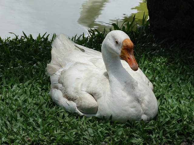 Foto do arquivo: fornecida por 【resultado da lotofácil do dia 11 de abril】