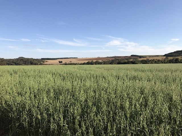 Foto do arquivo: fornecida por 【resultado da lotofácil de hoje ganhadores de hoje】