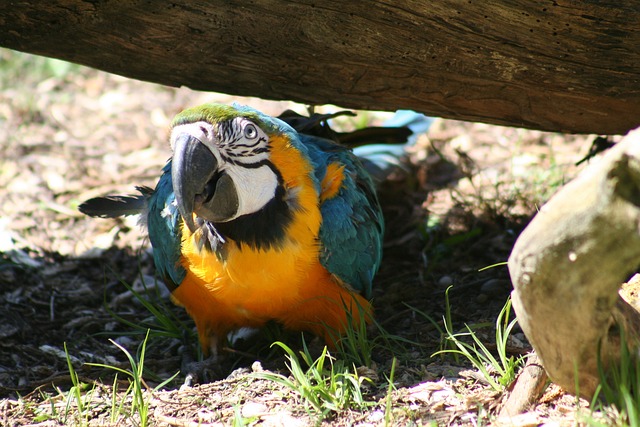 Foto do arquivo: fornecida por 【teve quantos ganhador da quina】