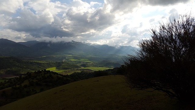 Foto do arquivo: fornecida por 【rato da fortuna】