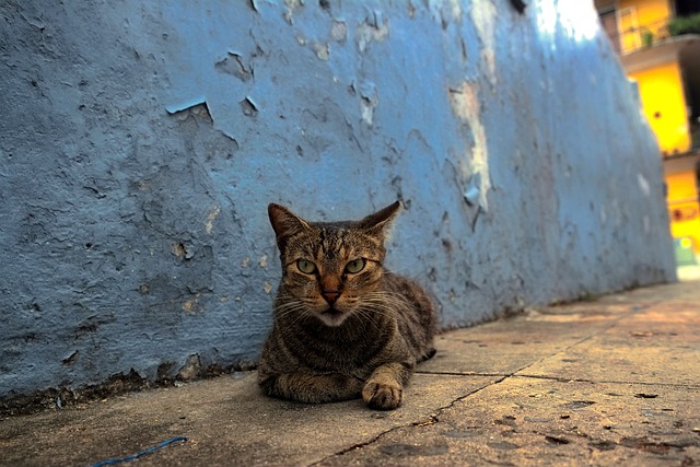 Foto do arquivo: fornecida por 【a loteria é aberta hoje】