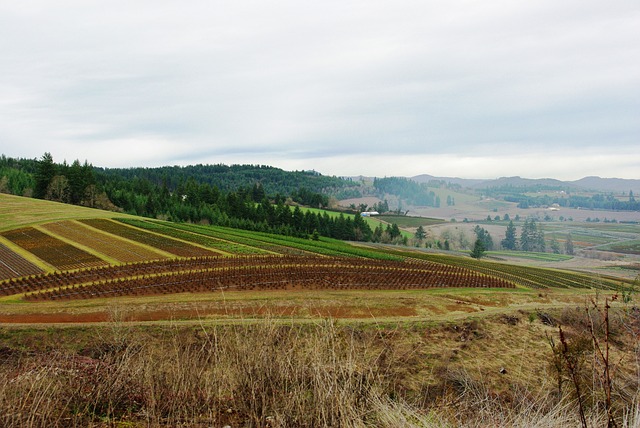 bônus de cadastro