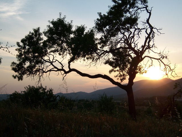 quebrando cassino