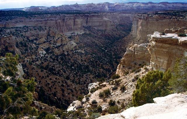 minas basquete, elenco