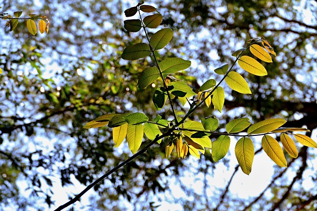 Foto do arquivo: fornecida por 【mega sena paga quina quadra e terno】