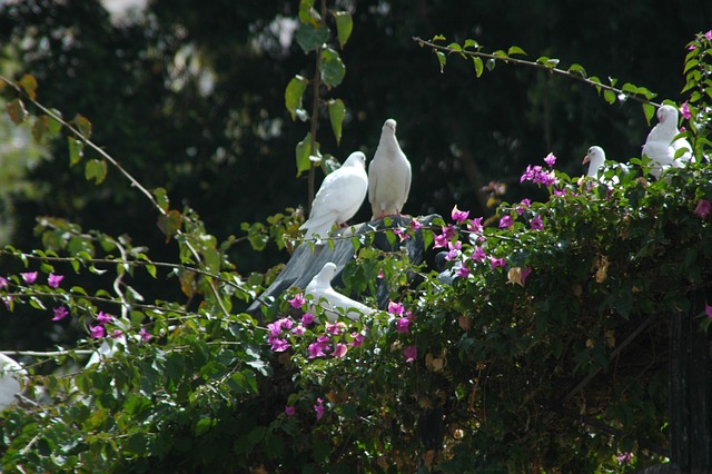 Foto do arquivo: fornecida por 【resultado mega sena 2352】