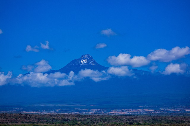 panvel farmácias cassino