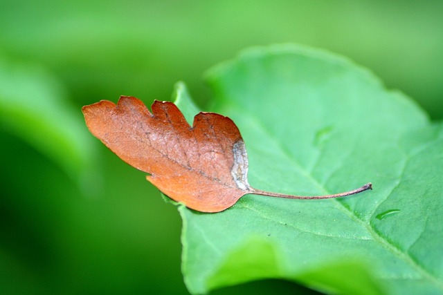 Foto do arquivo: fornecida por 【resultado lotofácil do dia 17】