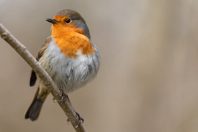 Foto do arquivo: fornecida por 【resultado do bicho da loteria federal】