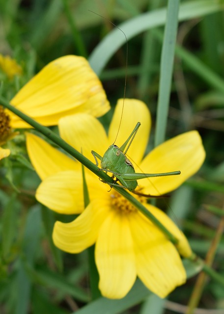 Foto do arquivo: fornecida por 【luckyland slots】