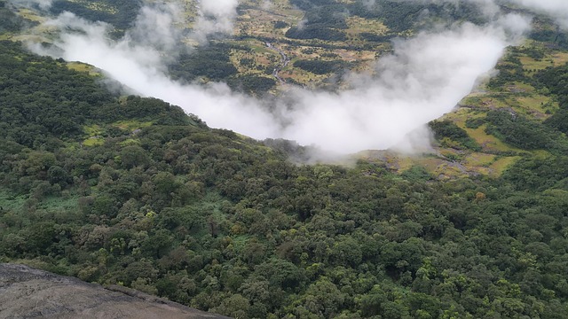 cassino com bônus de cadastro sem depósito