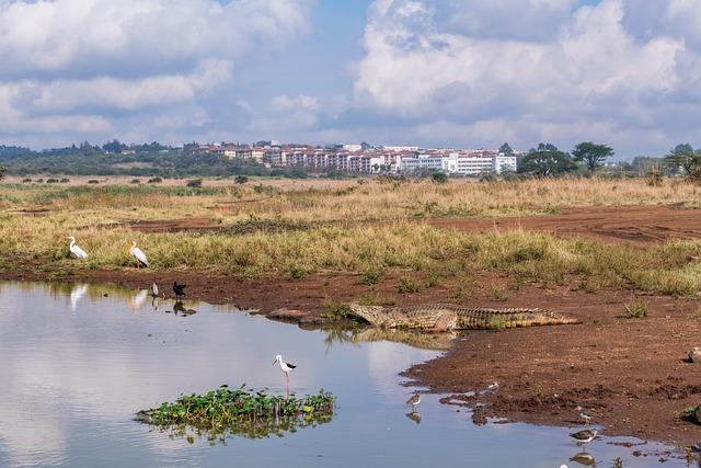 Foto do arquivo: fornecida por 【números mais sai na lotofácil】