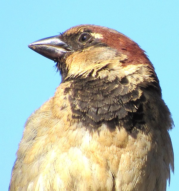 Foto do arquivo: fornecida por 【Tigrinho: nova aposta ao vivo】