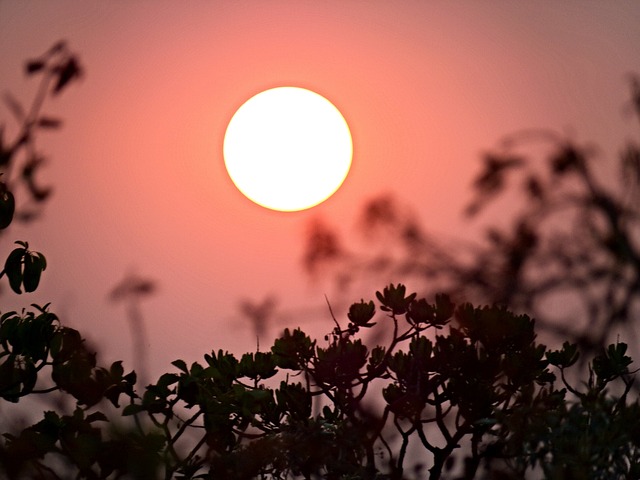 o que significa blaze em português