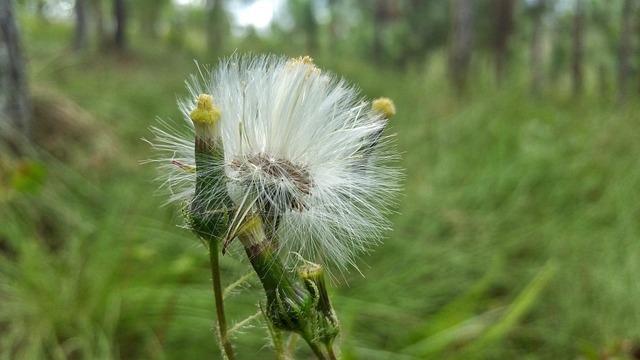 Foto do arquivo: fornecida por 【blaze apostas é seguro】