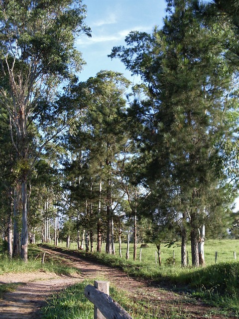 quais são os ganhadores da lotofácil