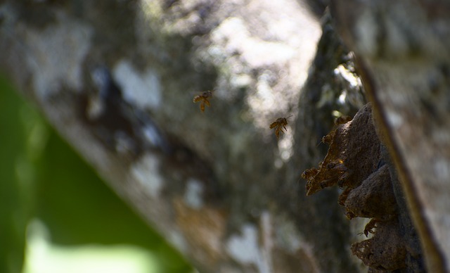 Foto do arquivo: fornecida por 【cassino foz do iguaçu】