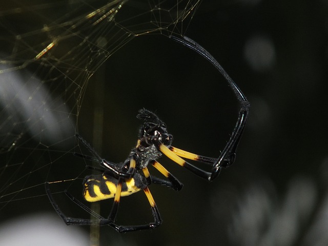 Foto do arquivo: fornecida por 【google dá o resultado da quina de hoje】