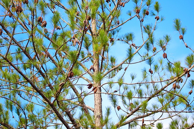 Foto do arquivo: fornecida por 【resultado da aky loteria】