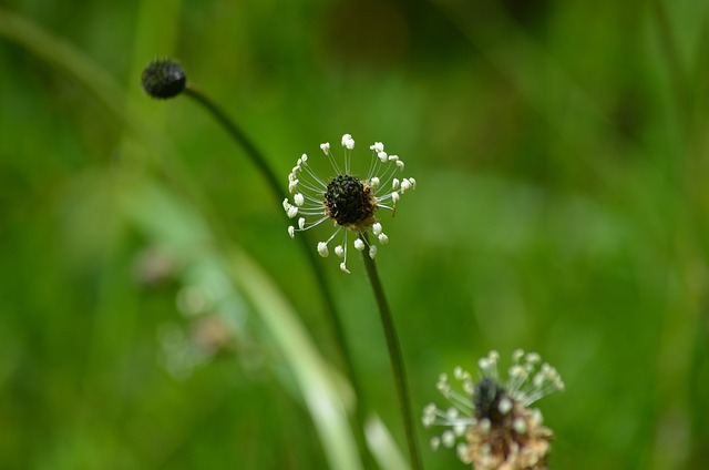 Foto do arquivo: fornecida por 【sweet memories blackjack】