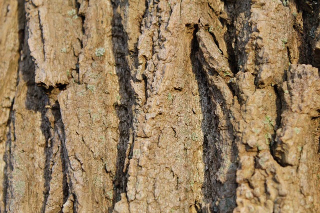 Foto do arquivo: fornecida por 【resultado da mega sena da virada concurso】