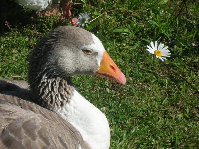 Foto do arquivo: fornecida por 【aposta certa loteria】