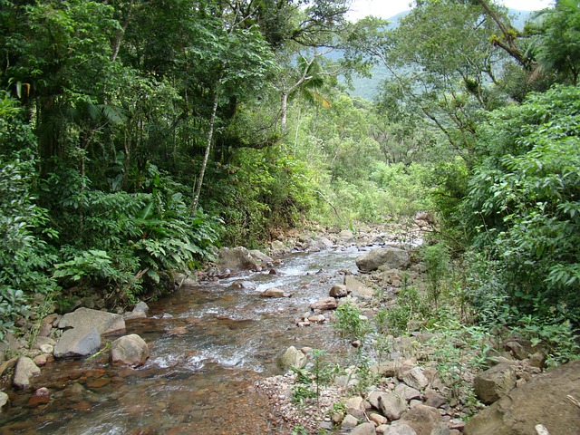 Foto do arquivo: fornecida por 【opina pix reclame aqui】