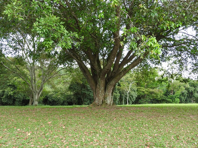 Foto do arquivo: fornecida por 【rtp sido247】