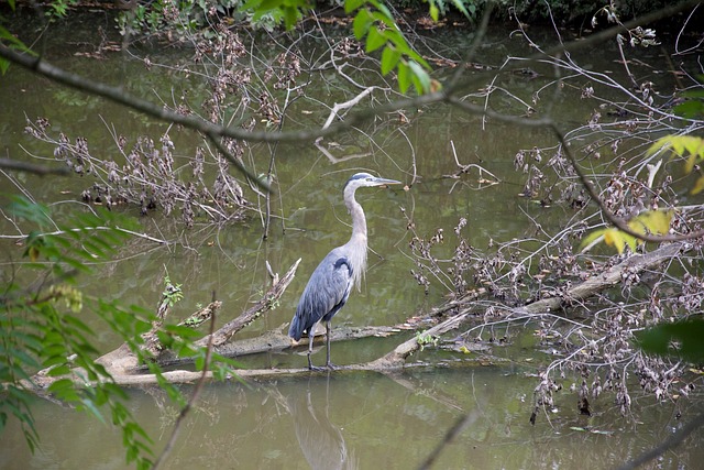 Foto do arquivo: fornecida por 【resultado quina de hoje ganhadores】