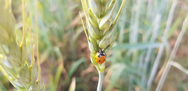 Foto do arquivo: fornecida por 【resultado lotofácil concurso 2420】