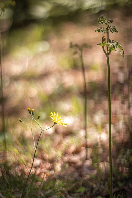 Foto do arquivo: fornecida por 【concurso 2440 da mega sena】