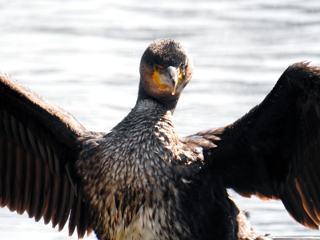 Foto do arquivo: fornecida por 【resultado da lotofácil 03 01 22】