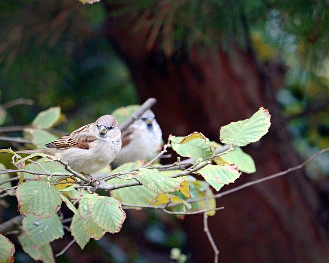 Foto do arquivo: fornecida por 【resultado da quina 5413】