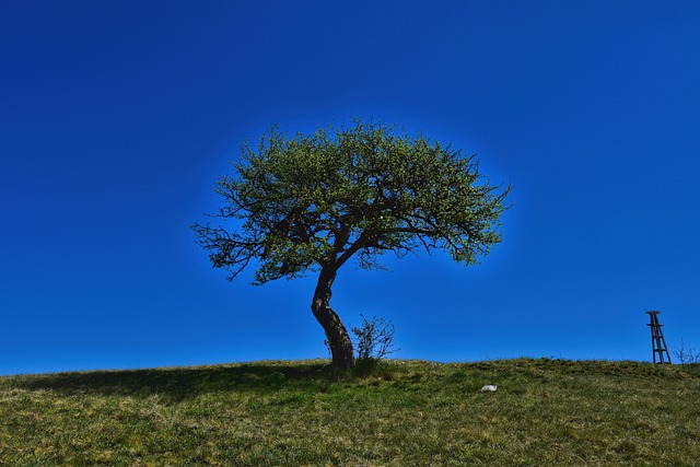 Foto do arquivo: fornecida por 【resultado da ptn de hoje】