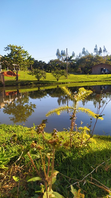 fazendinha cia dos bichos_ cotia