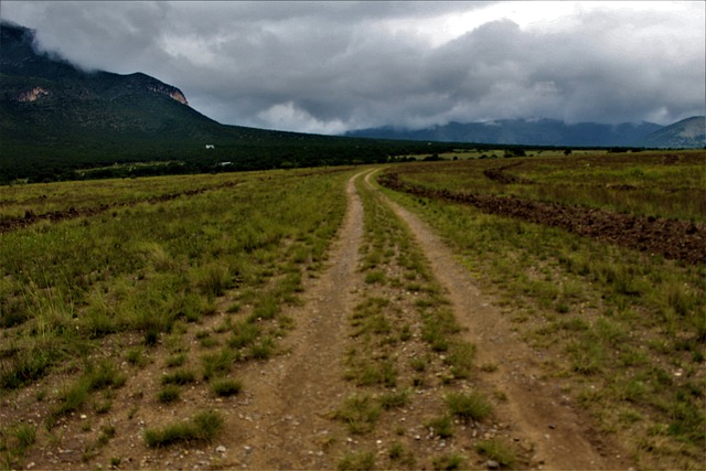 jogo de cavalo de andar