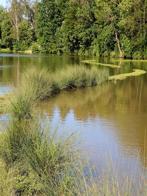 canal da lotofácil