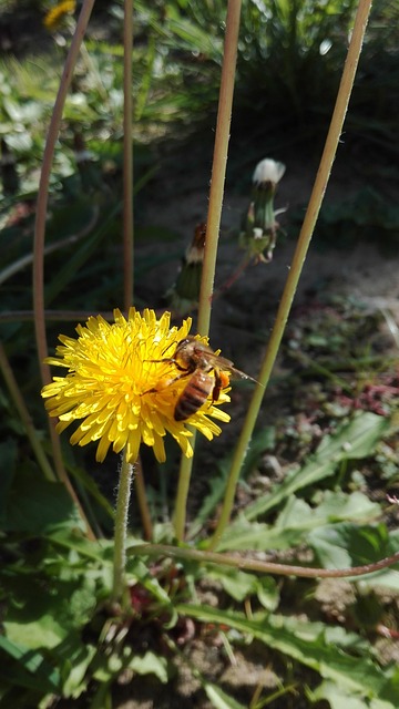 loteriasloterias caixa