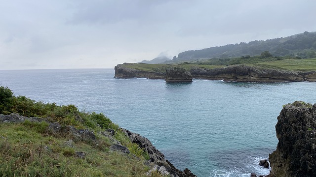 Foto do arquivo: fornecida por 【betgol】