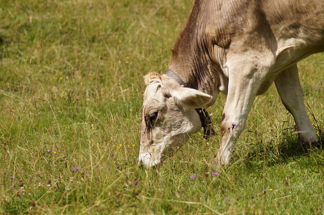 Foto do arquivo: fornecida por 【download poker texas holdem for pc】