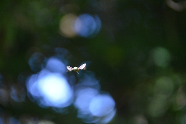 Foto do arquivo: fornecida por 【Aposta quente para acertar no bicho】