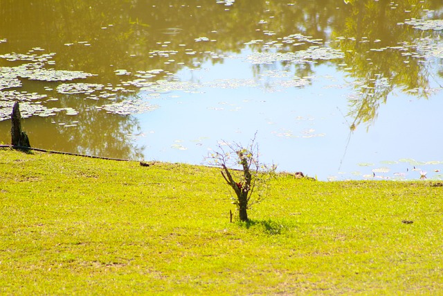 Foto do arquivo: fornecida por 【bingo brasil】