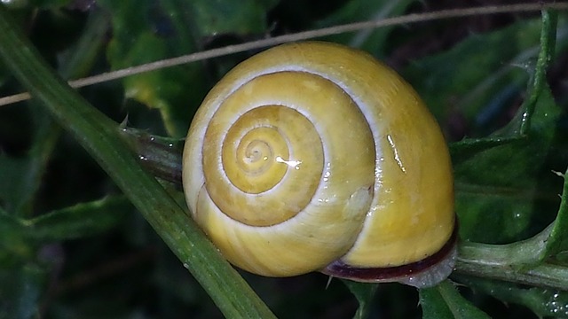 loterias caixa acumuladas