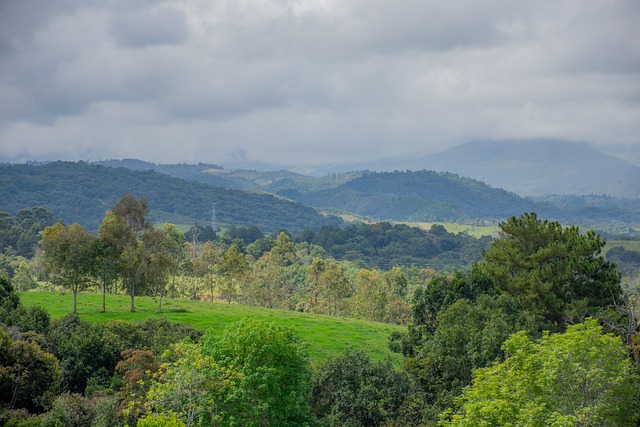 Canal de geração de grana