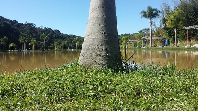 quais os dias de jogar na lotofácil