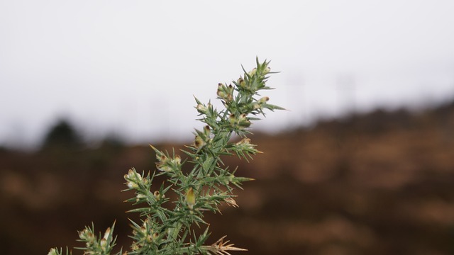 Foto do arquivo: fornecida por 【z3 cassino】