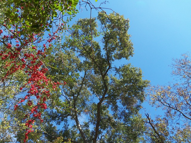 Foto do arquivo: fornecida por 【instalar aplicativo da betânia】