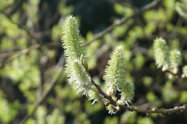 quina caixa loterias