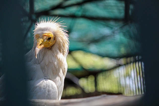 Foto do arquivo: fornecida por 【plataforma tigrinho】