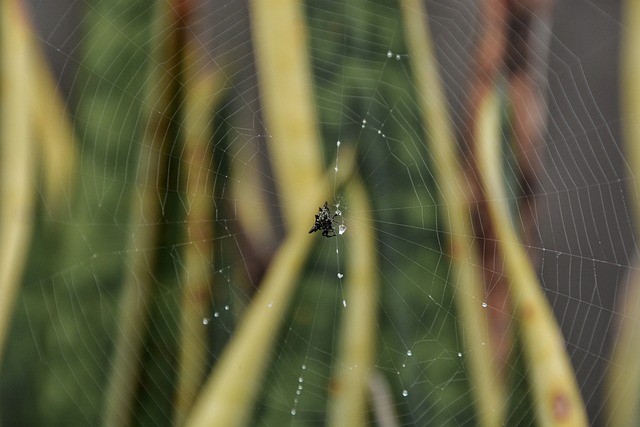 Foto do arquivo: fornecida por 【google resultado da loteria】